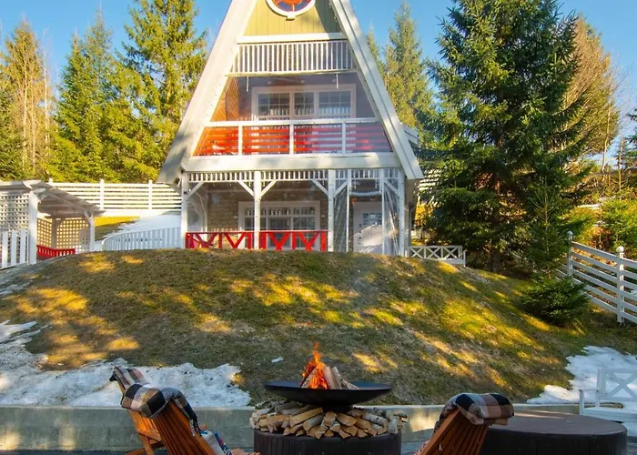 Freeman-4a 4місний з кухнею, терасою, грилем - на увесь перший поверх котеджу Nyaraló Bukovel