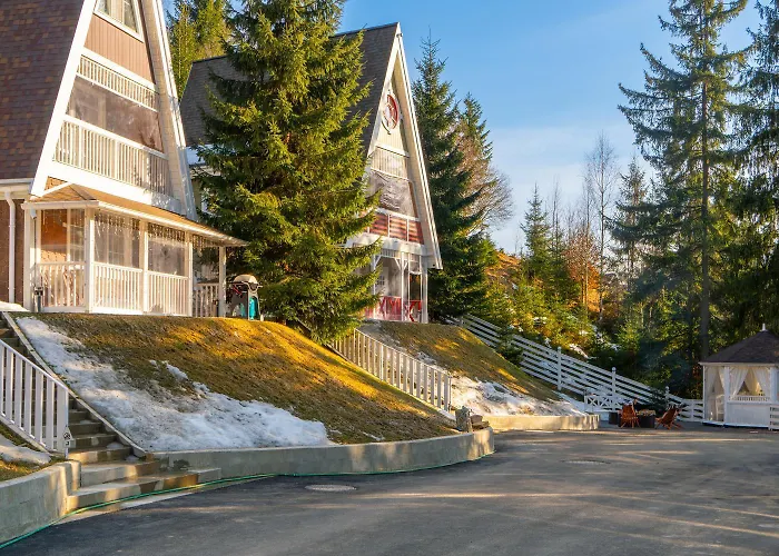 Nyaraló Freeman-4a 4місний з кухнею, терасою, грилем - на увесь перший поверх котеджу Bukovel